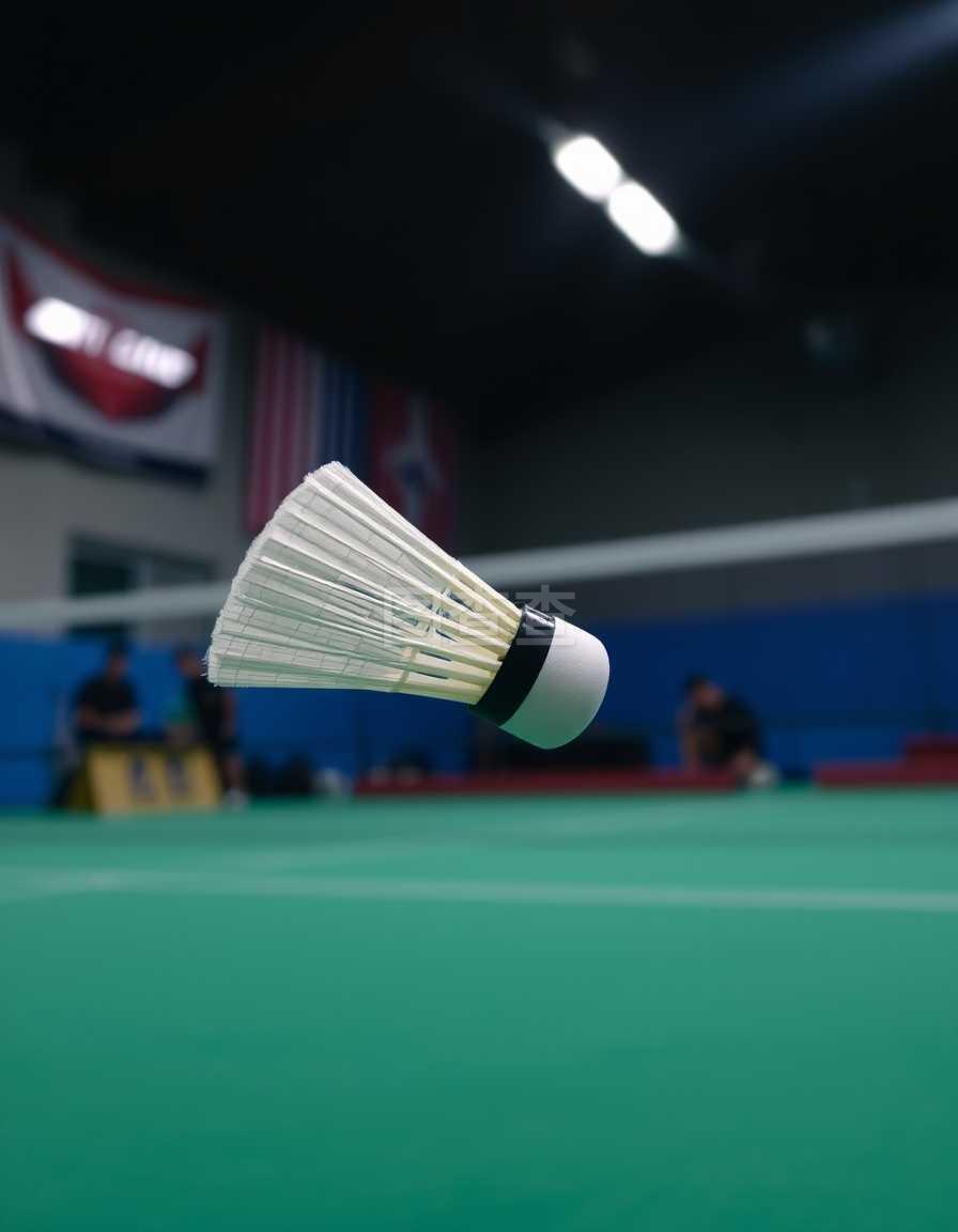 着新生代教 着新生代教