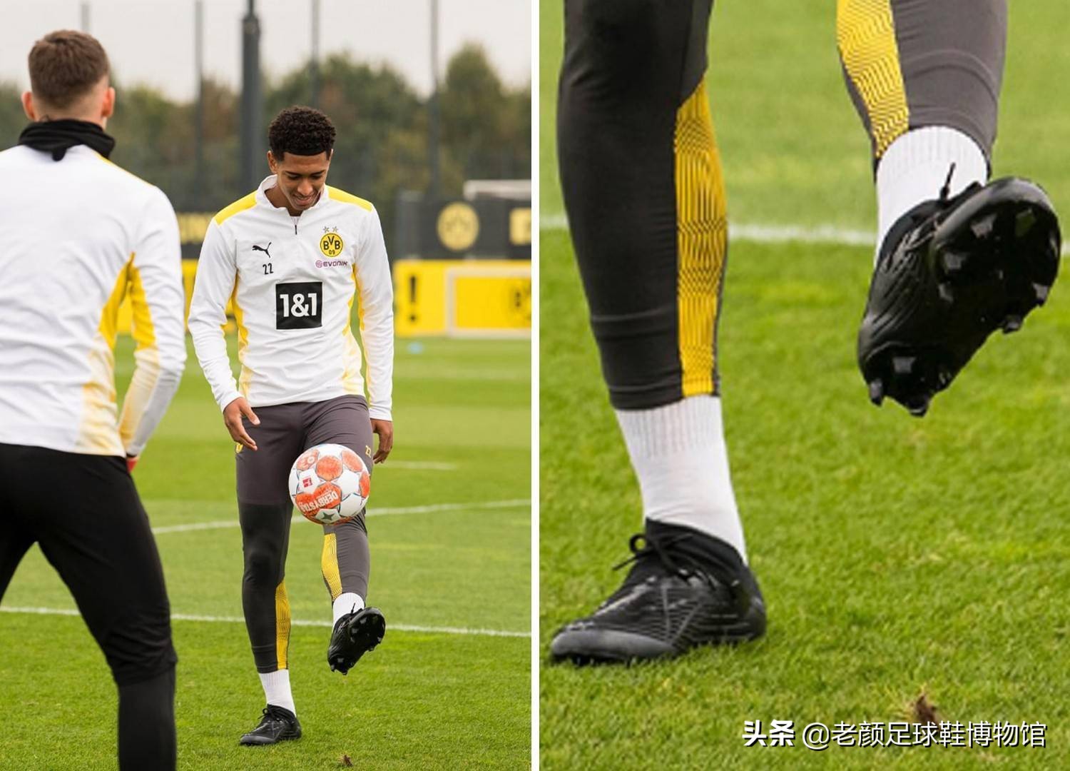 塞反扑的希 塞反扑的希