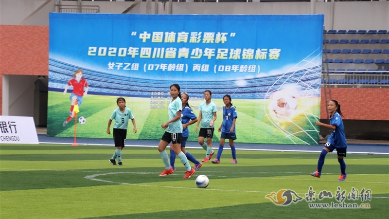 路与肋部被
